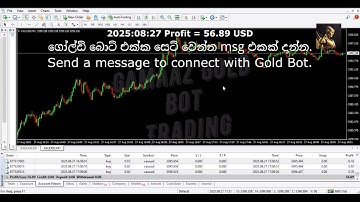 XAU/USD Robot – Auto Trading for Gold 2025.08.27 (Profit = 56.89 USD)