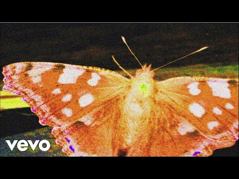 Frank Carter & The Rattlesnakes - Why A Butterfly Cant Love A Spider