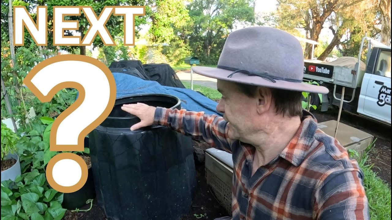 Оставляете ли вы компост открытым во время дождя?