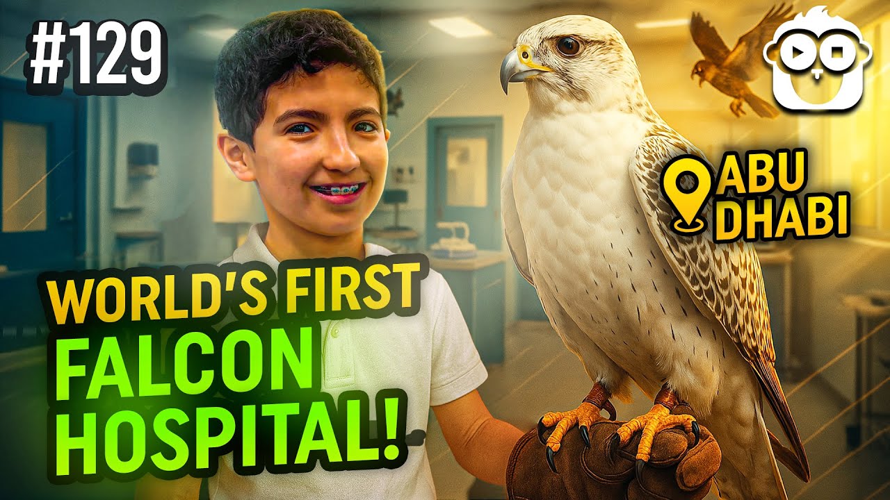 Inside the World’s First Falcon Hospital!