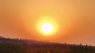 Arachno Vs Reaper Tank Of Closed Fighthills Stcet 10K