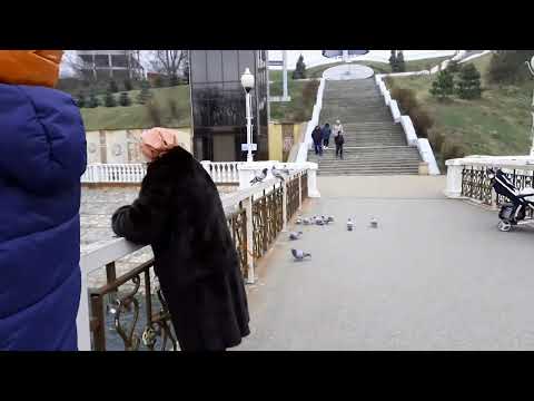 8.03.2022. Зелёный остров, - люди, утки, гуси, голуби, кошка. Кого люблю не дождусь я. А вы ждёте? 8.03.2022. Зелёный остров, - люди, утки, гуси, голуби, кошка. Кого люблю не дождусь я. А вы ждёте?