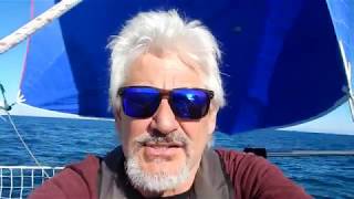 SV1 WildChild S01E75 spinnaker sailing