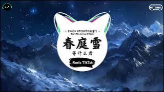 春庭雪 (抖音DJ版) - 邓寓君(等什么君)「这一世 太漫长却止步咫尺天涯间，谁仍记 那梨花若雪时节。」♪ || 流行歌曲 | 抖音歌曲 | 抖音热门歌曲 | TikTok & Douyin ♪
