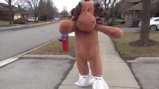 The Dancing Moose Prank