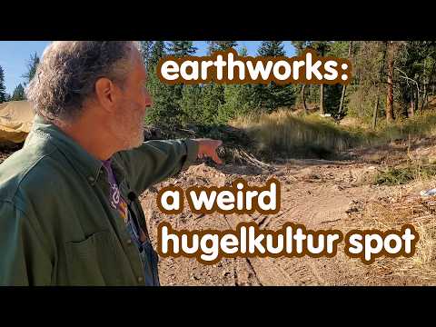 building an 11 foot tall hugelkultur in a spot that is a bit difficult