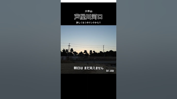 《芦屋川河口》河口から源流まで歩きます🕺 #shorts #芦屋川 #河口