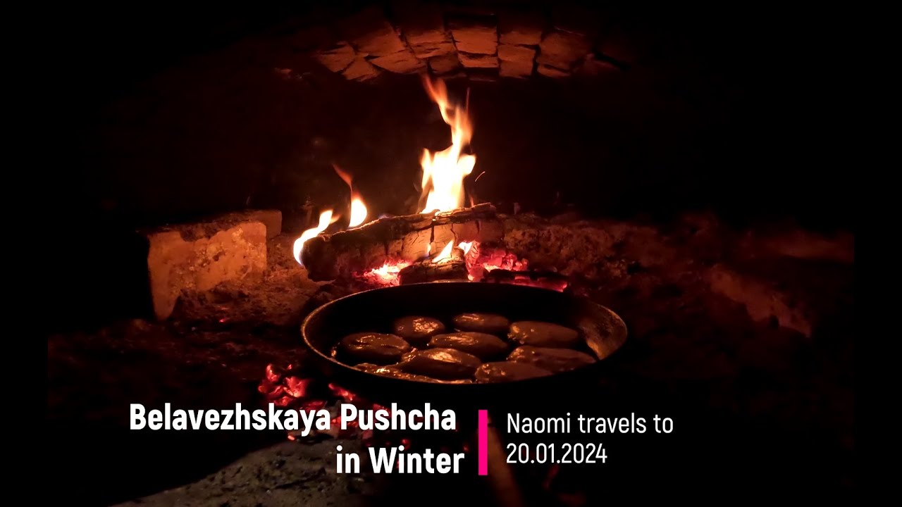 Belavezhskaya Pushcha in Winter, Naomi travels to. 20.01.2024