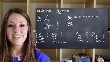 Infinite limits (KristaKingMath)