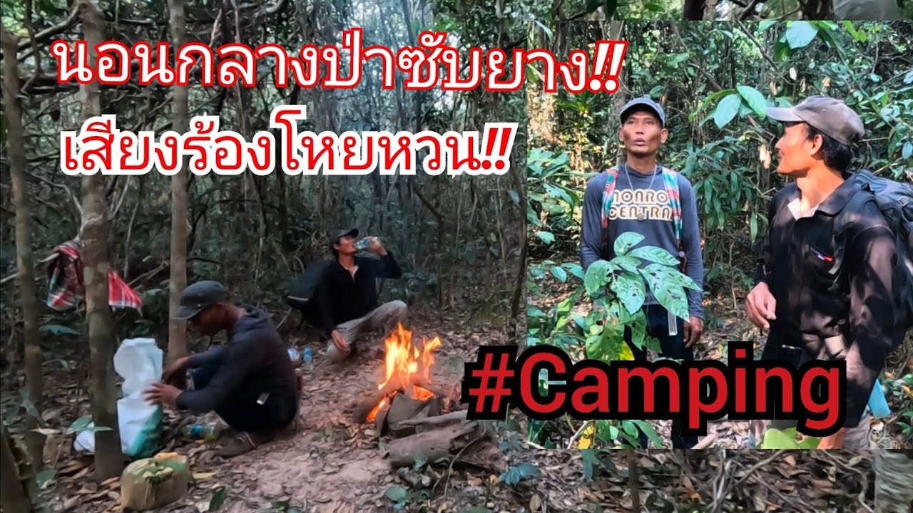 ep.1การเดินทางสุดโหด‼️นอนกลางป่าซับยางกับเด่น ตามหาหินสกัดโบราณ #camping #cooking  05/02/68