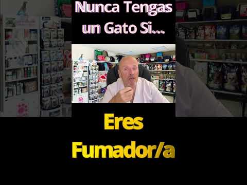 Video: ¿Tu gato te quiere?