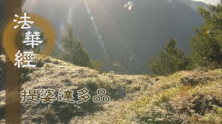 【靜思妙蓮華】法華經提婆達多品 - 佛性平等 微妙廣大 - 20230207 第1345集