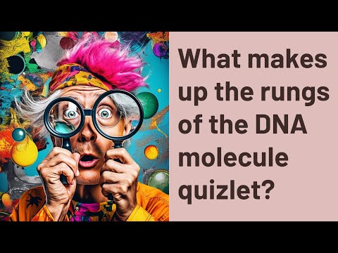 فيديو: من اكتشف هيكل DNA Quizlet؟