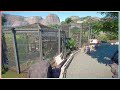 Binturong Habitat | Sequora Zoo | Planet Zoo Speed Build