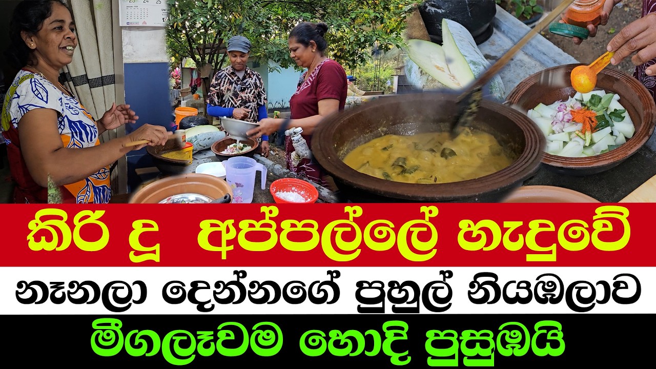 Authentic Village Flavor – Fast & Yummy