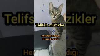 Herkesin aradığı Victor muzigi komik (TELİFSİZ) Resimi