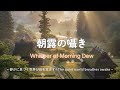 🌿【Japanese Chill】朝露の囁き / Whisper of Morning Dew