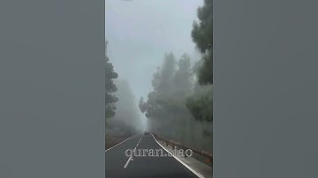 (إِنَّ اللَّهَ وَمَلَائِكَتَهُ يُصَلُّونَ عَلَى النَّبِيِّ ۚ ) القارئ ‏ ‏هيثم الدخين
