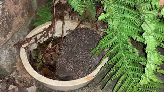 IMG 0021 IMG 0021
