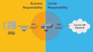 SIP Managed Services From Continuant