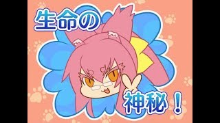 【BBCF2】The Kokonoe Birthday Collab