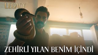 Nana’yı zehirli yılandan Yaman kurtardı | Emanet 436. Bölüm