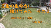 芝刈りルールを フル無視 軸刈り の対処法もお伝えします Youtube 芝刈りルールを フル無視 軸刈り の対処法もお伝えします Youtube