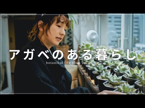 初めて行くアガベ•塊根植物 専門店が想像以上にヤバすぎた。 botanical
