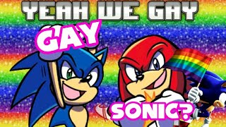 Sonic Will Be Gay In His Games From Now On??? (Article) (NO HOMOPHOBIC FEELINGS INVOLVED)