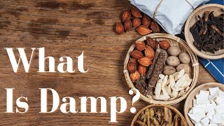What Is Damp In Chinese Medicine? How Does It Affect My Body? Chinese Medicine Dr Explains