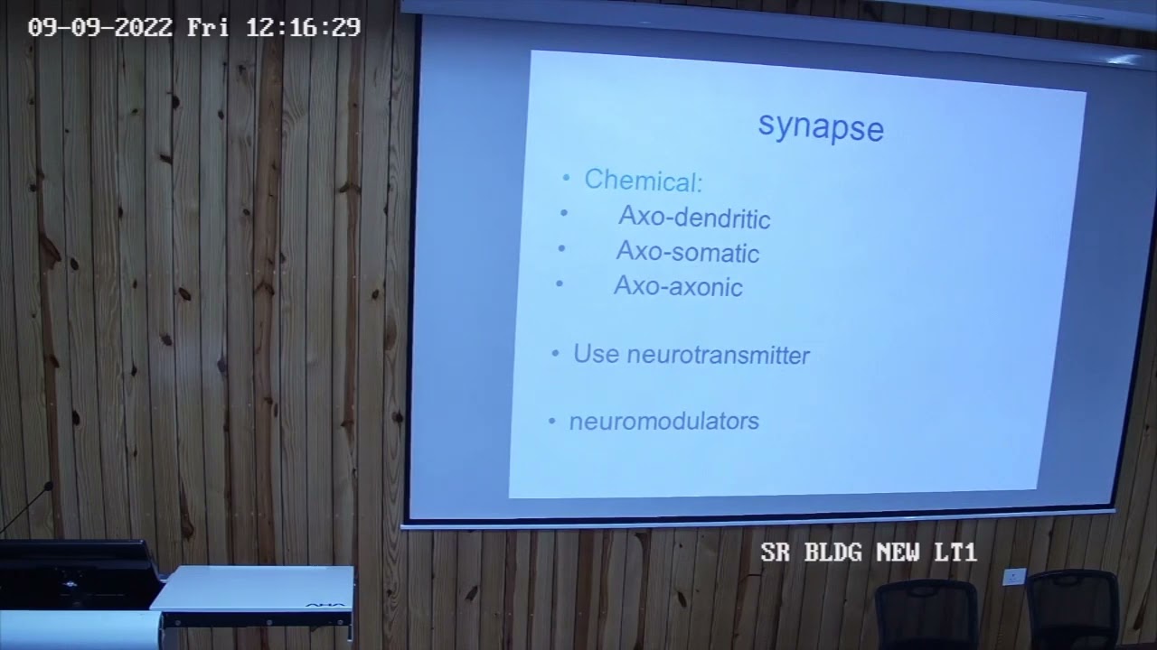 Synapse