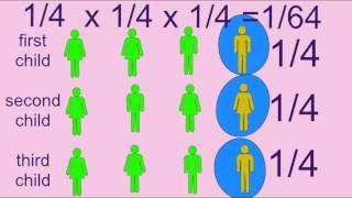 PRODUCT RULE IN SOLVING GENETIC PROBLEMS MENDELIAN TRAITS 2
