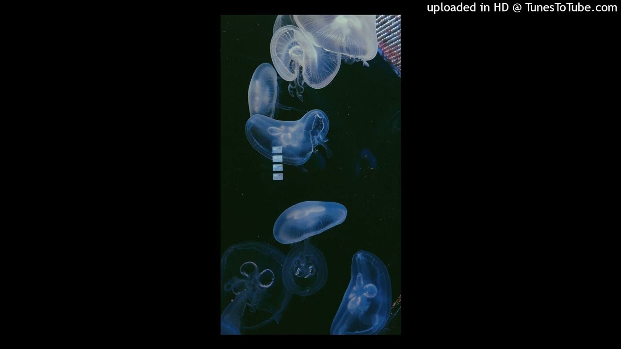 [Free] Young Nudy x Yo Pierre! x Playboi Carti Type Beat 