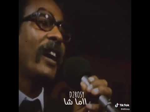 مصطفى سيد احمد ضجة الشوق والهواجس للشاعر المفقود من سنة 97