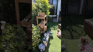 Sort Your Shed Out! #smallgardendesign #smallgardenideas #garden @LittleGreenShedAllotment