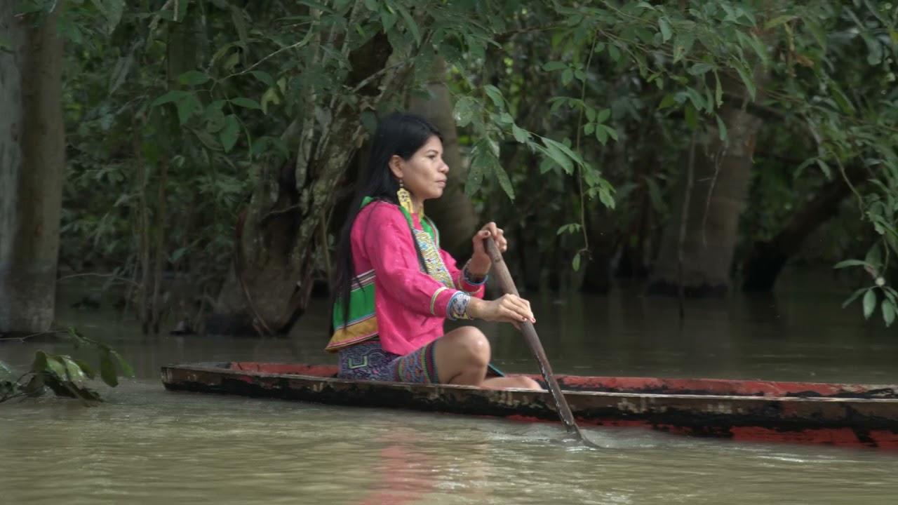 Meraya - Pedro Favaron