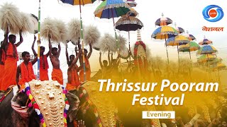 The Thrissur Pooram Festival 2024 | Thrissur, Kerala | DD National