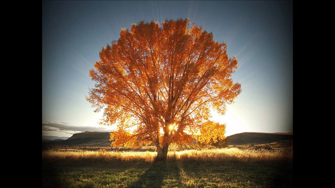 Blue Effect - Skybound