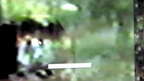 M.K. Davis revistis the White Bigfoot video.mp4 - YouTube.flv
