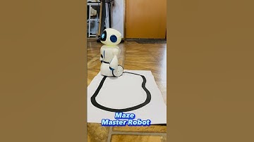 Maze Master Robot #asmr #satisfying #robots #robotics #sarahpax