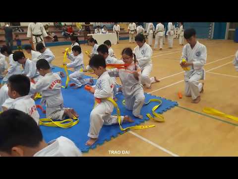 Video Học võ karate: bài thi từ đai vàng lên đai cam karate - youtube