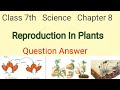 Class 7th science chapter 8 question answer | Reproduction in plants question answer 