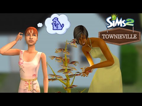 In Need of Simoleons 🤑 Townieville #20 🔷 Sims 2