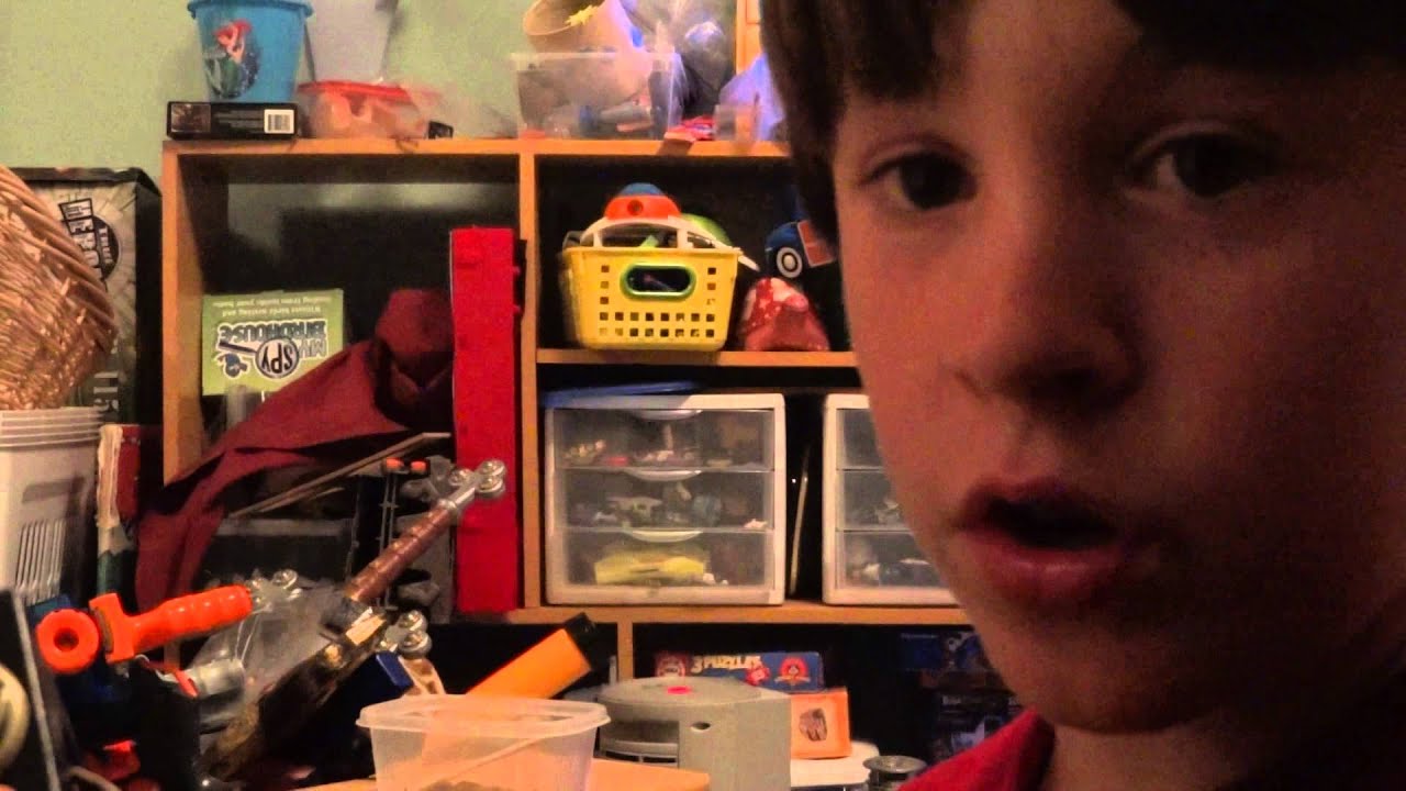 Introduction to Animal B12 - YouTube