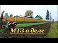 Мотоблок мтз в деле .  Осенняя запашка горчицы в развал .