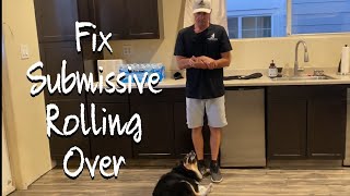 Learn how to fix the submissive back flip behavior while being touched.