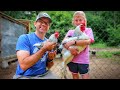 We NOW Have The World's Largest & Smallest Roosters On Our Farm!! [Crazy Chicken Breeds]