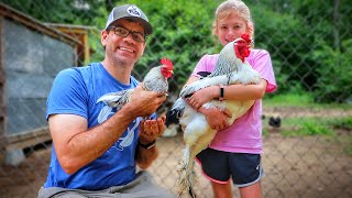 We NOW Have The World's Largest & Smallest Roosters On Our Farm!! [Crazy Chicken Breeds]