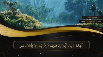 047 سورة محمد