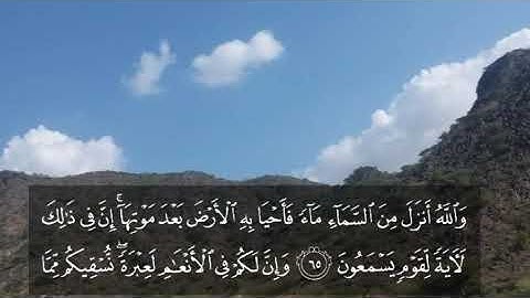 ما تيسر من سورة النحل - بصوت هادىء